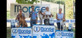 Torna Barolo dog winner, la rassegna cinofila dedicata a tutti i cani