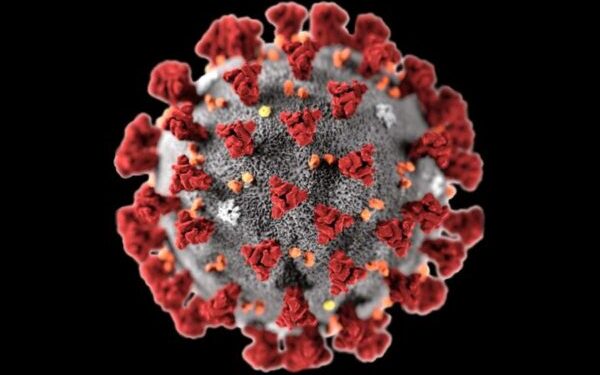 Coronavirus, in Piemonte i casi scesi a tre, negativi quelli della provincia Granda