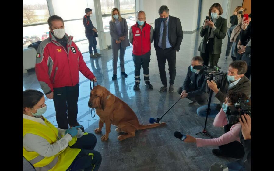 All’aeroporto di Cuneo progetto pilota per l’utilizzo dei cani anticovid