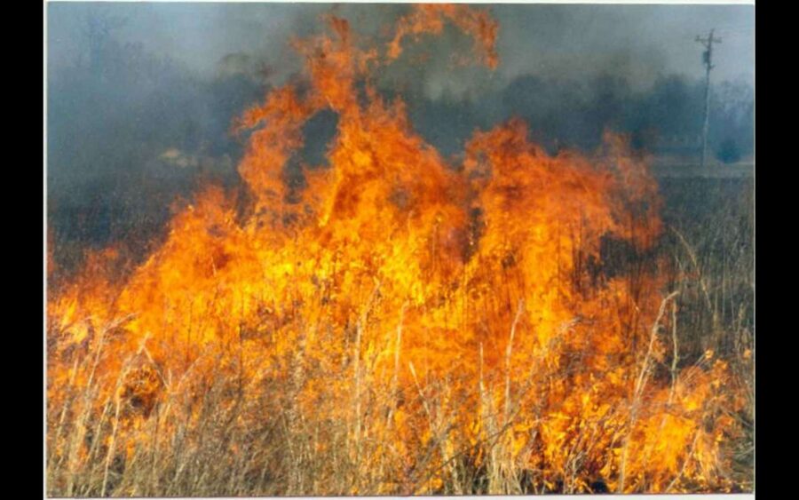 In Piemonte stato di allerta per gli incendi, vietato accendere fuochi